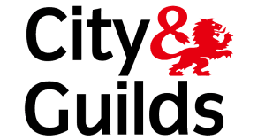 city & guilds Qualified